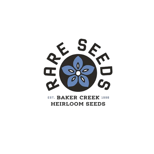 Baker Creek Digital Marketing Audit